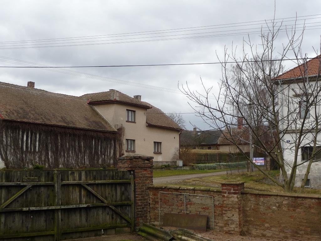 Třibřichy